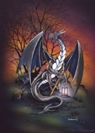 Hermit Dragon, dragon images, Peter Pracownik Signed Framed Prints