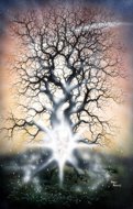 Birth Of Starchild, myth & magic, magic spells, Peter Pracownik Signed Framed Prints