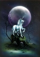 Unicorns - Peter is fascinated with the symbolism unicorns hold with the moon, purity and healing.